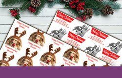 Personalised Photographic Christmas GiftWrap